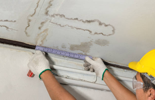 Reliable Sewage Cleanup contractor in Valmeyer, IL by Water Damage Irwin
